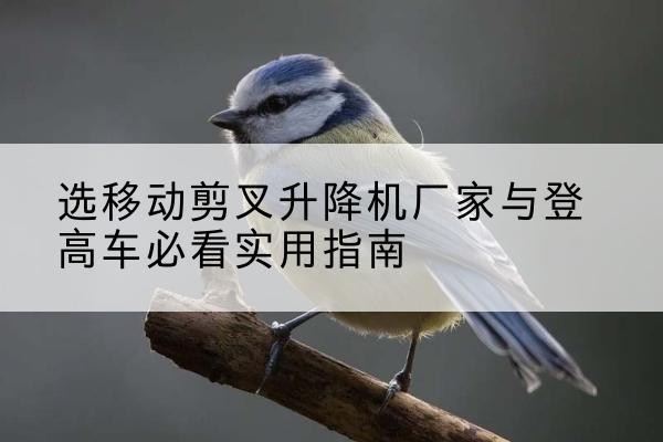 肇州电动升降机厂家-选移动剪叉升降机厂家与登高车必看实用指南