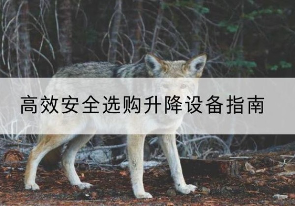 肇州升降货梯厂家推荐-*安全选购升降设备指南