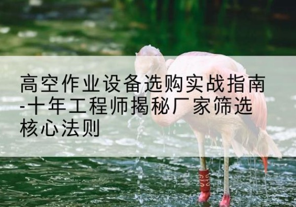 肇州剪叉式升降机厂家-高空作业设备选购实战指南-十年工程师揭秘厂家筛选核心法则